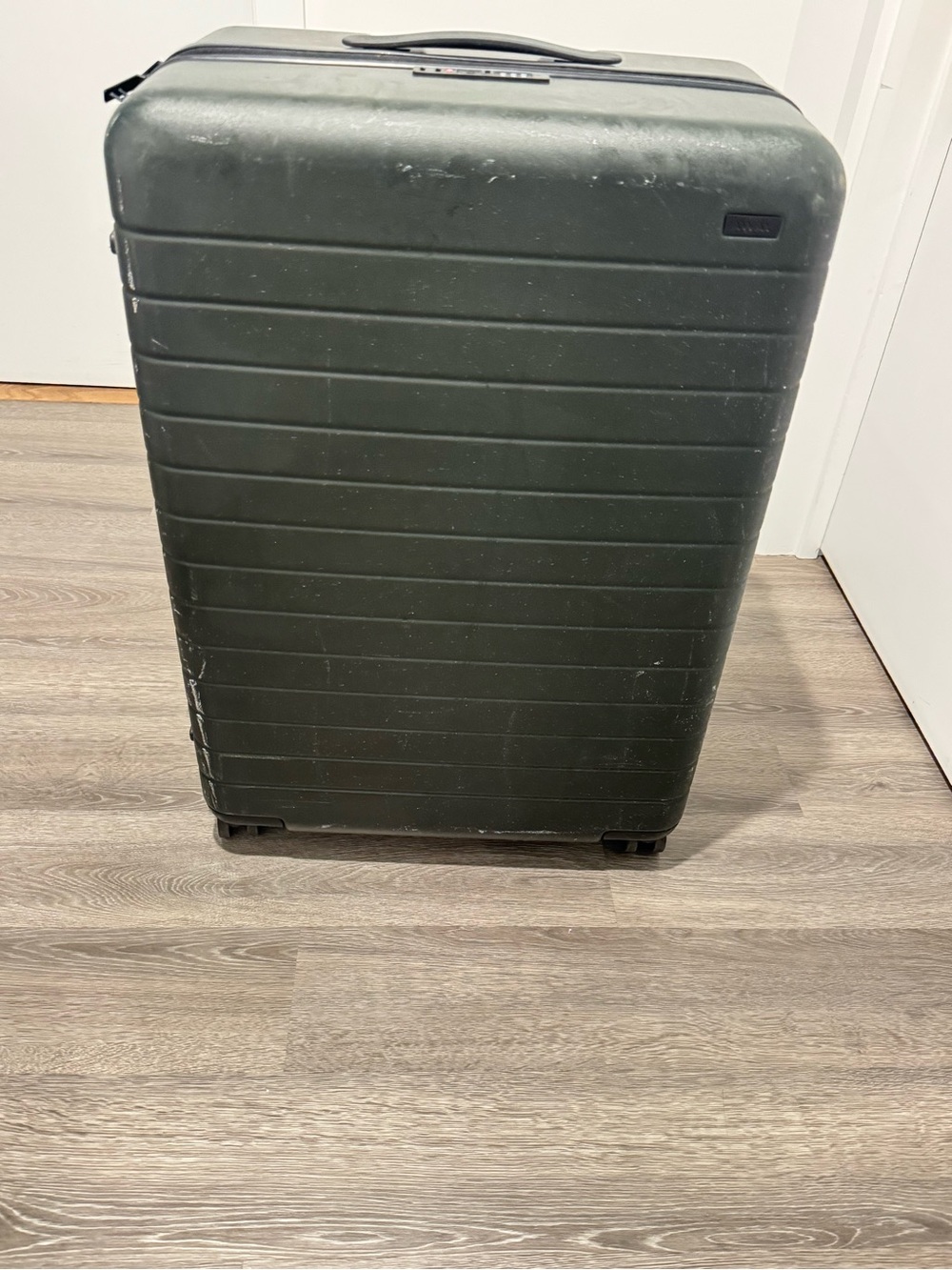 Away Large Flex Luggage - Green